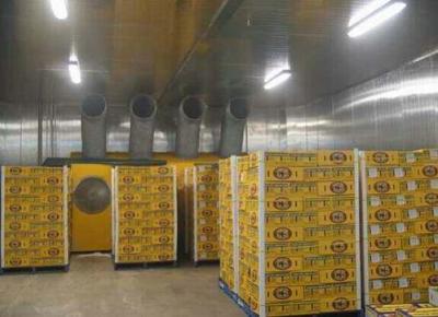 冷凍庫(kù)工程案例